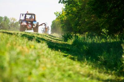Land Clearing Operation