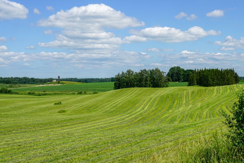 Agricultural Contractors