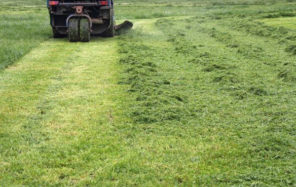 Equine Land Mowing